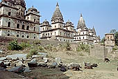 Orchha - Royal Chattris (cenotaphs) 